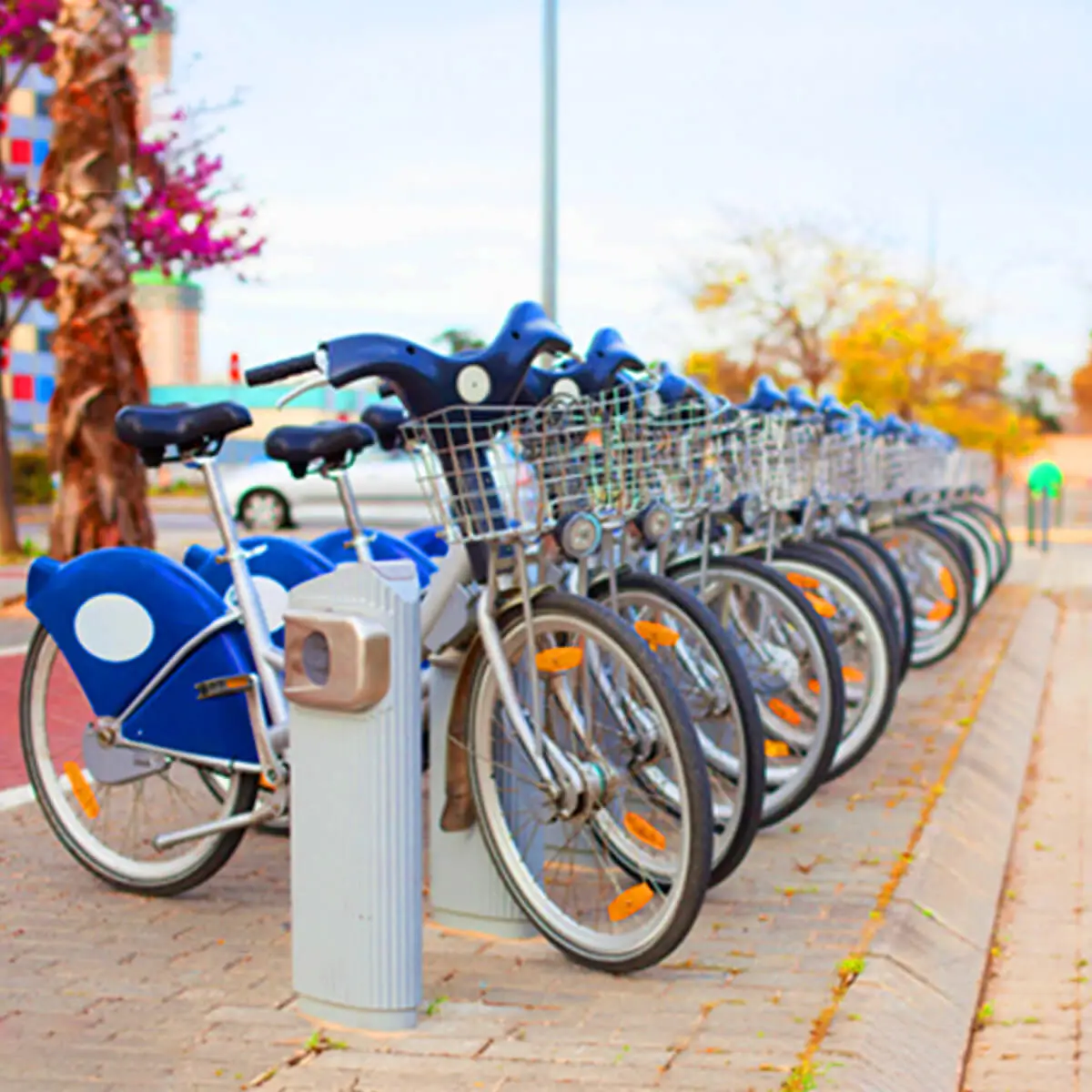 Cycle Parking Bays
