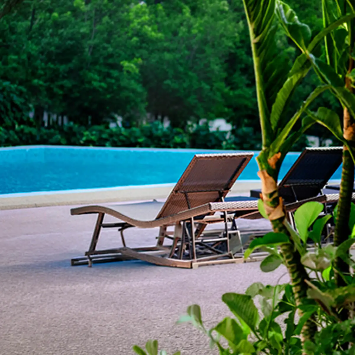Pool Deck