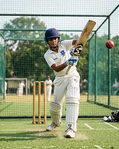 Cricket Net